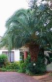 Туры в отель Rozendal Guest House
