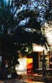 Туры в отель Rozendal Guest House