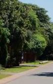 Туры в отель Rozendal Guest House