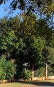 Туры в отель Rozendal Guest House