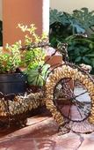 Туры в отель Rozendal Guest House