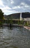 Туры в отель De Kombuys Estate