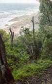 Туры в отель Misty Mountain Reserve