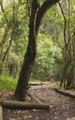 Туры в отель Misty Mountain Reserve