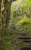 Туры в отель Misty Mountain Reserve