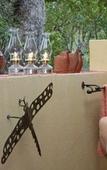Туры в отель Mohlabetsi Safari Lodge