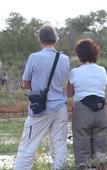 Туры в отель Mohlabetsi Safari Lodge