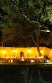 Туры в отель Mohlabetsi Safari Lodge
