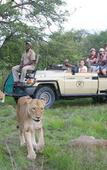 Туры в отель Mohlabetsi Safari Lodge