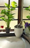 Туры в отель Boord Guest House