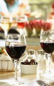Туры в отель Diemersfontein Wine and Country Estate