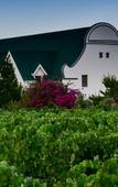 Туры в отель CANA Vineyard Guesthouse