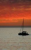 Туры в отель Dolphin Inn Guest House