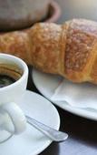 Туры в отель Dolphin Inn Guest House