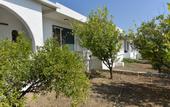 Туры в отель Phaistos Hotel