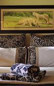 Туры в отель Ukutula Lodge & Game Reserve