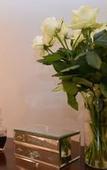 Туры в отель Kanolvlei Boerdery CC t/a Ridgeworth Boutique Guesthouse