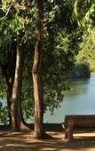 Туры в отель Komati River Chalets