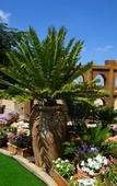 Туры в отель Kiwara Guesthouse