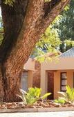 Туры в отель New Haven Guest House