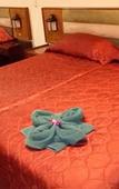 Туры в отель Royal Hotel Ladysmith