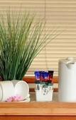 Туры в отель Groenvlei Guest Farm