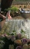Туры в отель Groenvlei Guest Farm
