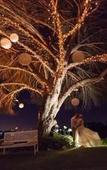Туры в отель Groenvlei Guest Farm