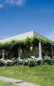 Туры в отель Groenvlei Guest Farm