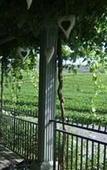Туры в отель Groenvlei Guest Farm