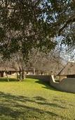 Туры в отель Nyati Safari Lodge