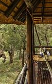 Туры в отель Nyati Safari Lodge