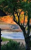 Туры в отель Nyati Safari Lodge