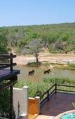 Туры в отель Nyati Safari Lodge