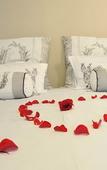 Туры в отель Adato Guesthouse