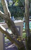 Туры в отель 10 Alexander B&B