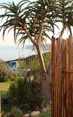 Туры в отель The Wild Farm - Hostel