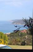 Туры в отель The Wild Farm - Hostel