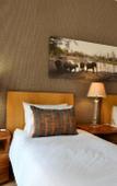 Туры в отель Highgrove Guesthouse