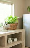 Туры в отель Little Forest Guest House
