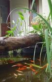 Туры в отель Little Forest Guest House