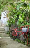 Туры в отель Little Forest Guest House