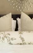 Туры в отель Little Forest Guest House