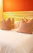 Туры в отель Little Forest Guest House