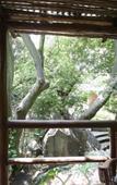 Туры в отель Little Forest Guest House