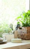 Туры в отель Little Forest Guest House