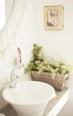 Туры в отель Little Forest Guest House