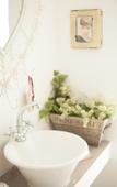 Туры в отель Little Forest Guest House
