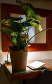 Туры в отель Villa San Giovanni Accommodation