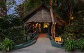 Туры в отель Phi Phi Island Village